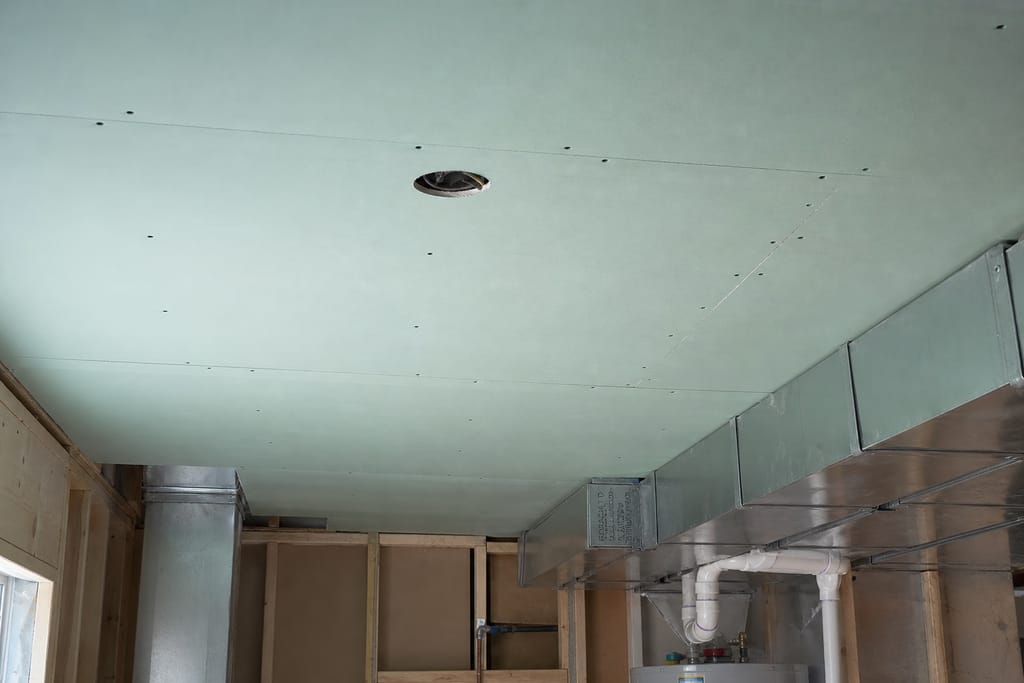 Mold-resistant paperless board photo